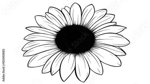Close view of a daisy center showing individual disc florets, vector illustration art