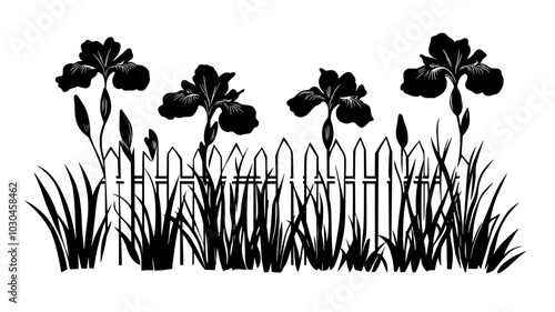 Irises blooming near a decorative fence in a perennial garden, vector illustration art