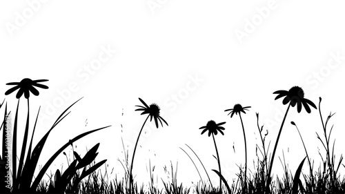 Coneflowers in a prairie landscape with tall grasses, vector illustration art