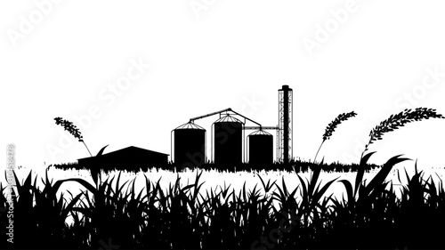 Corn field designated for ethanol production with silos in the background, vector illustration art