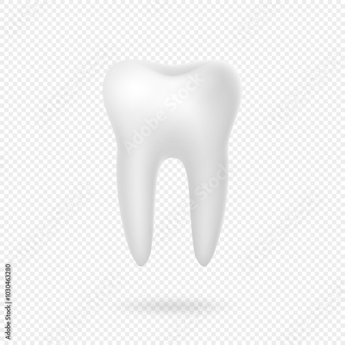 Realistic 3D white tooth isolated on transparent background. Dental tooth icon concept.