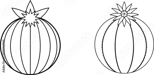 Two Black and White Line Drawings of Cacti