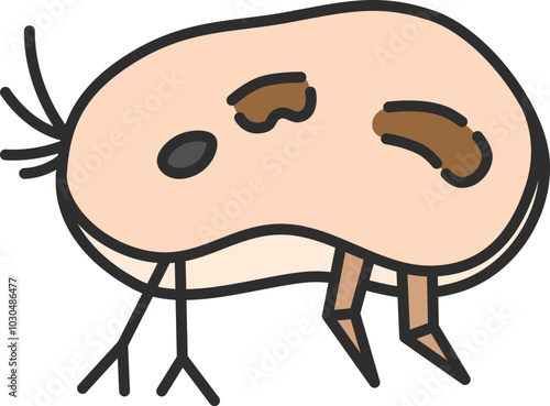 カラー微生物単品アイコン　カイミジンコ