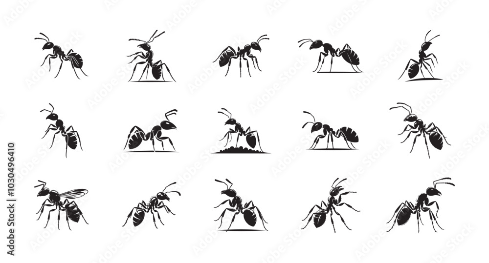 Ant Silhouette Icon set. Vector Illustration on White Background. Ant Silhouette Icon set. Vector Illustration on White Background.