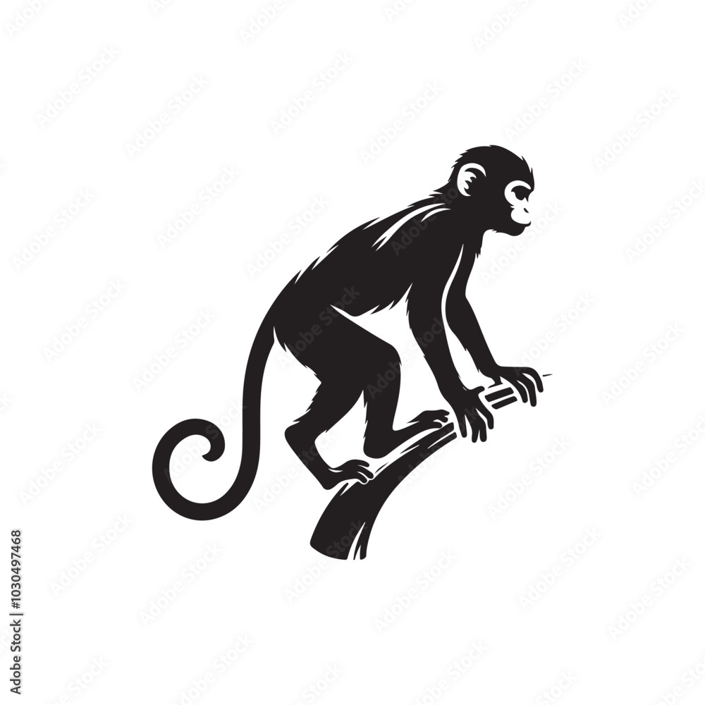 Black Monkey Silhouette. Simple Vector Drawing on White. Black Monkey Silhouette. Simple Vector Drawing on White.