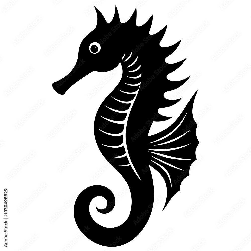 black and white seahorse black and white seahorse