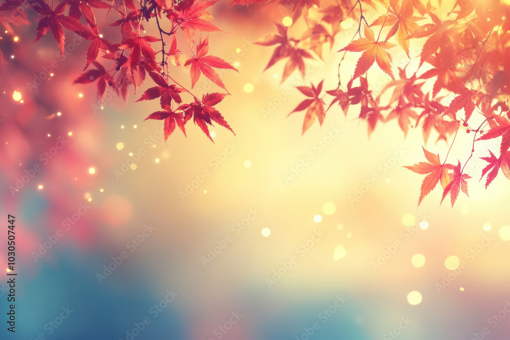 Red maple leaves in autumn sunlight Red maple leaves in autumn sunlight