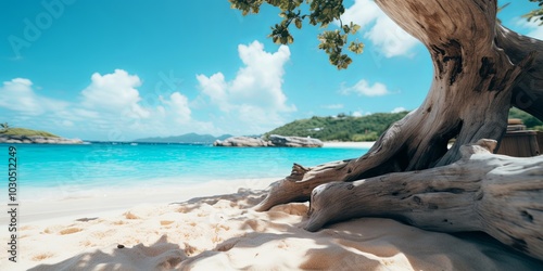 A weathered driftwood branch rests on pristine white sand, framing a view of turquoise waters and a distant, lush shoreline. photo