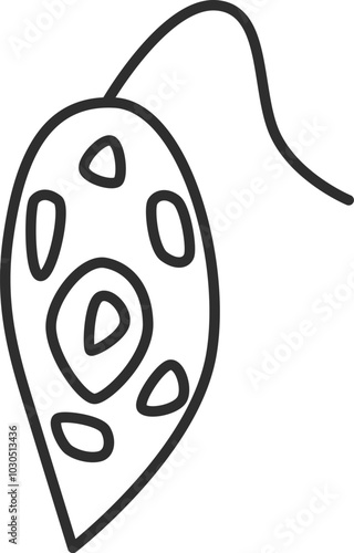 線画微生物単品アイコン　ミドリムシ