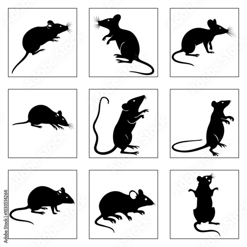 Set of Rat and Mice Silhouettes in Various Poses for Design and Illustration