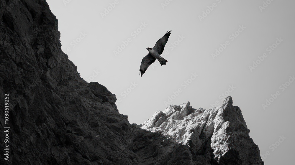 A bird soaring above rugged mountains in a dramatic black-and-white landscape. A bird soaring above rugged mountains in a dramatic black-and-white landscape.