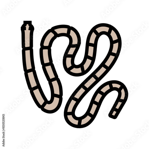 tapeworm parasite color icon vector. tapeworm parasite sign. isolated symbol illustration