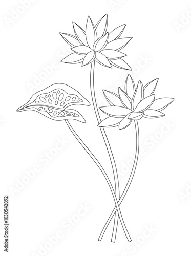 Bouquet of two nymphaea flowers with leaves. Bunch of blooming water wild plants. Line art, minimal style, contour. Botanical hand-drawn elements for design projects. Vector illustration