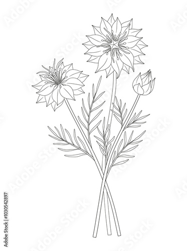 Wallpaper Mural Wildflower bouquet. Nigella or love-in-a-mist flowers, blooming wild plants with leaves, buds. Line art, minimal style, contour. Botanical hand-drawn elements for design projects. Vector illustration Torontodigital.ca