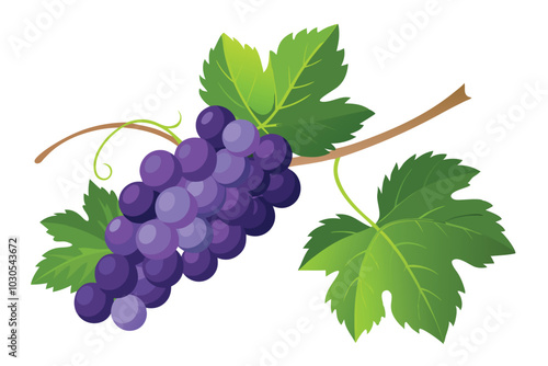 Vibrant Grapes on a Vine with Lush Green Leaves - Flat Vector Illustration on white background.