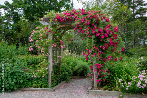 An outdoor wooden curved shaped archway or arbor surrounded by a lush green garden.  The park has birch trees, climbing red roses, orange lily flowers, and vibrant green shrubs in a botanical park. 