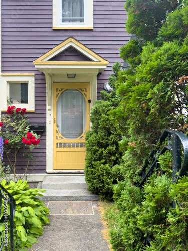 The entrance to a bright purple wooden house with clapboard siding on the exterior and a colorful yellow screen door. The house's front yard has shrubs, red flowering plants and lush green cedar trees photo