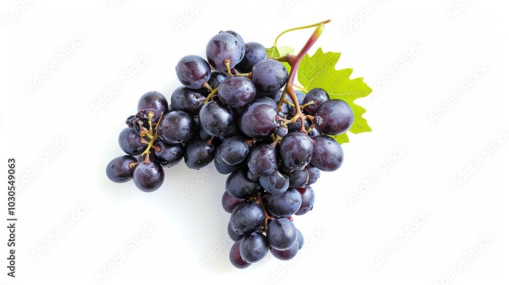 Vibrant 'Isabella' Black Grapes: An Aerial View on a Serene White Canvas Vibrant 'Isabella' Black Grapes: An Aerial View on a Serene White Canvas