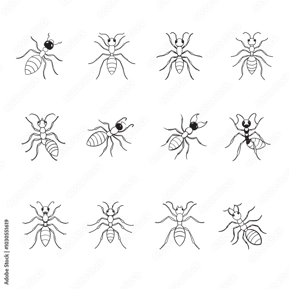 Ant line art vector Ant line art vector