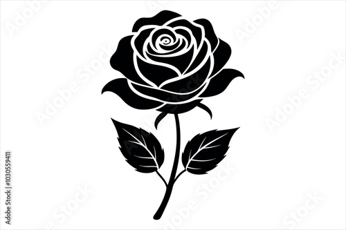 black rose silhouette vector illustration