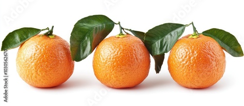 Three ripe mandarins with green leaves, isolated on a white background.