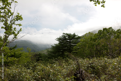 Russia Kuril Islands landscape on a cloudy summer day photo