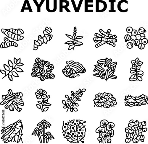 ayurvedic herbs medicine health icons set vector. nature ayurveda, mortar neem, basil, science plant, leaf, organic spices, care, cure ayurvedic herbs medicine health black contour illustrations