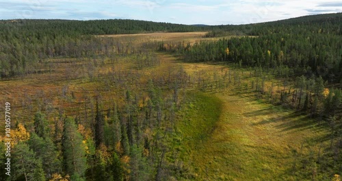 Aerial orbit above a bog in wilderness in autumn