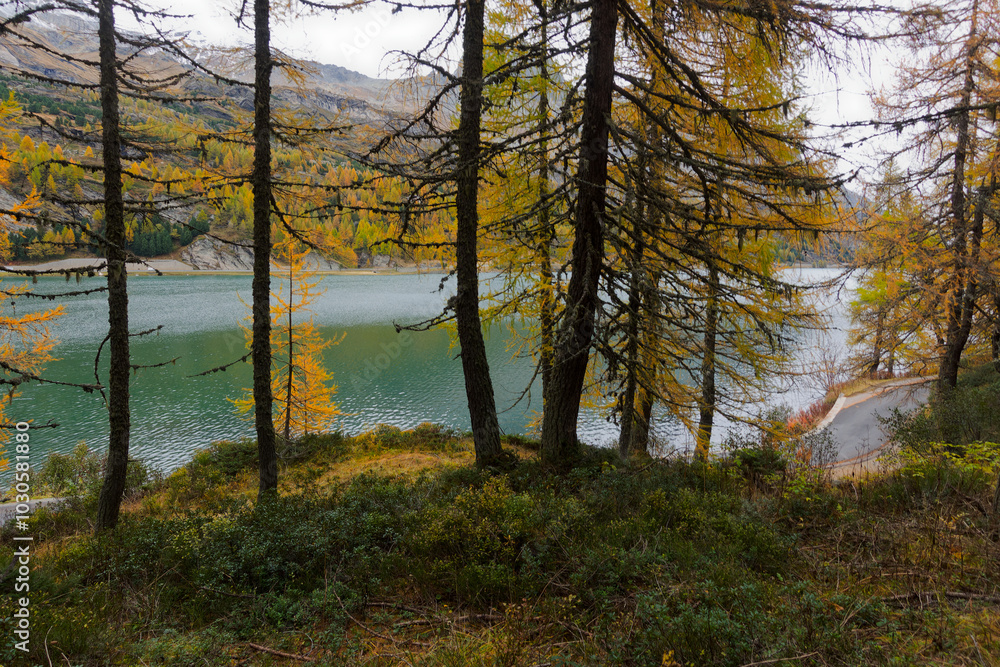 Scenic landscape with mountain panorama and Maloja Lake at Swiss mountain village of Maloja on a cloudy autumn day. Photo taken October 14th, 2024, Maloja, Switzerland. Scenic landscape with mountain panorama and Maloja Lake at Swiss mountain village of Maloja on a cloudy autumn day. Photo taken October 14th, 2024, Maloja, Switzerland.