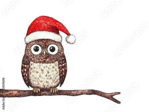 Adorable Owl in Santa Hat Perched on Branch Illustration on Transparent Background
