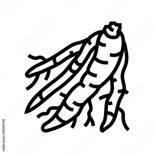shatavari ayurvedic herb line icon vector. shatavari ayurvedic herb sign. isolated contour symbol black illustration