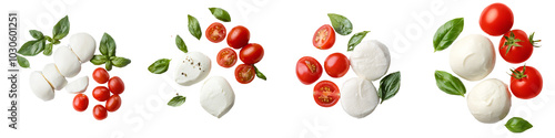 An isolated top view of mozzarella cheese on a transparent background