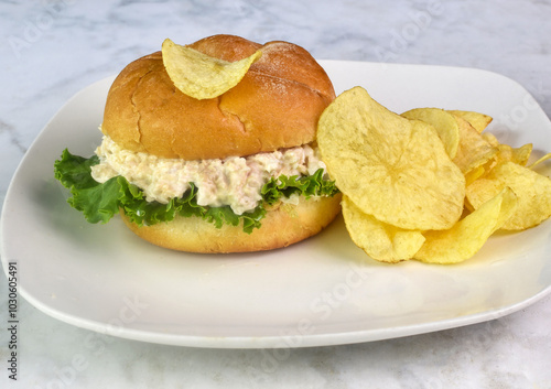 chicken salad on a bulkie roll  served with potato chips photo