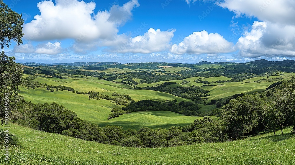 Lush green hills under a blue sky with fluffy clouds showcasing a tranquil landscape in the countryside during late afternoon light Lush green hills under a blue sky with fluffy clouds showcasing a tranquil landscape in the countryside during late afternoon light
