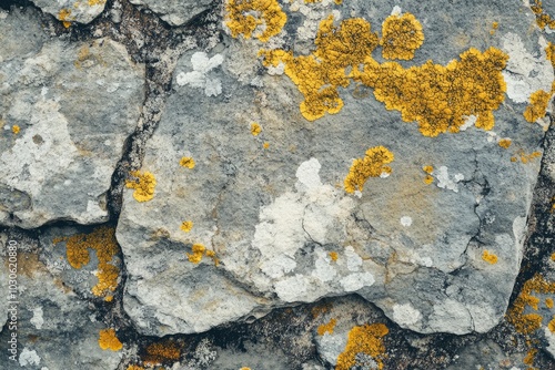 Ancient grey stone with yellow lichen, texture, close-up. Natural pattern, background. Baltic sea, Estonia. Graphic resources, macro photography, concept art, tranquility, pure nature - generative ai