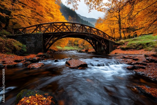 Historic packhorse bridge surrounded by autumn foliage, with a stream flowing beneath photo