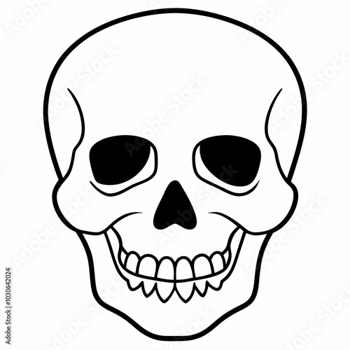 human skull vector line art illustration