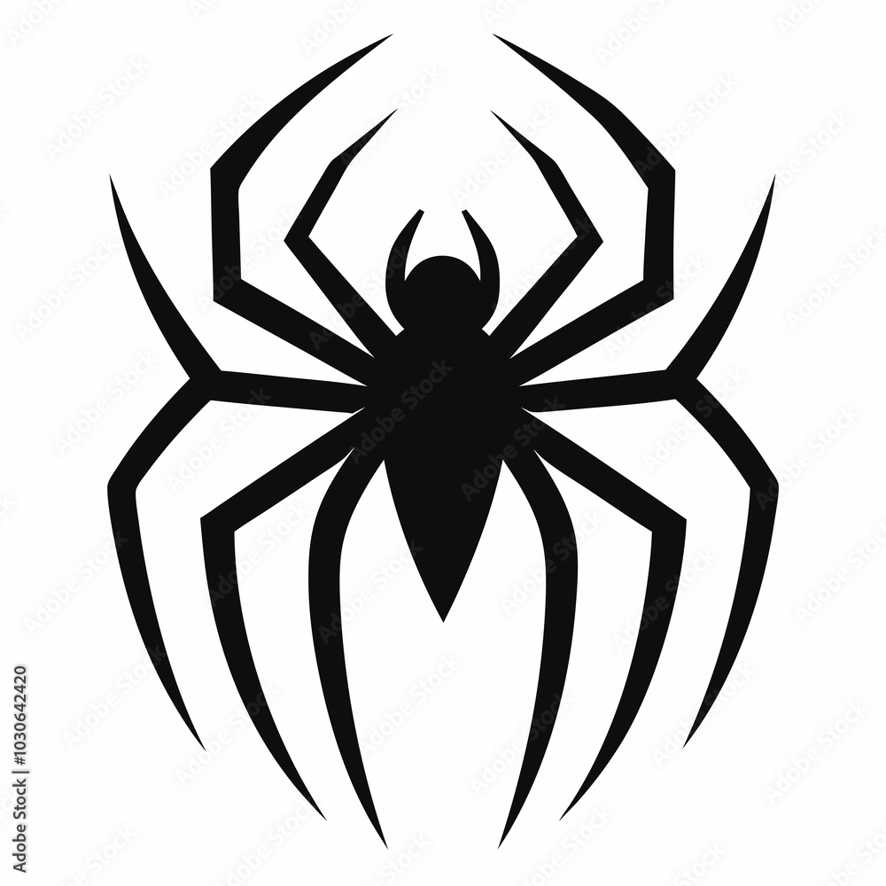 black spider isolated on white black spider isolated on white