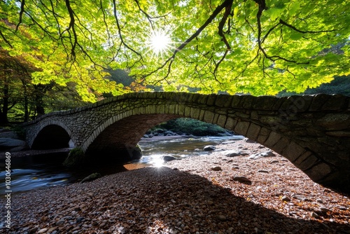 Packhorse bridge hidden within a Westcountry forest, with sunlight filtering through the trees photo