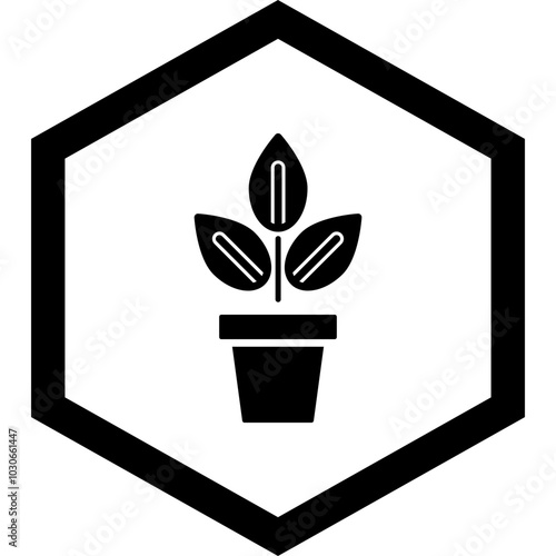 Indoor Plants Icon Design