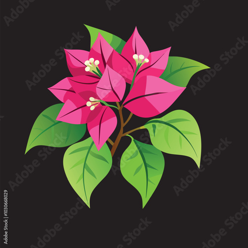 bougainvillea flower Vector 3D Image Downloads.