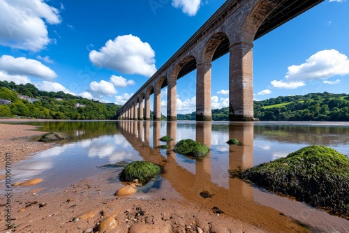 Low tide along the River Severn, revealing the piers of a historic bridge photo