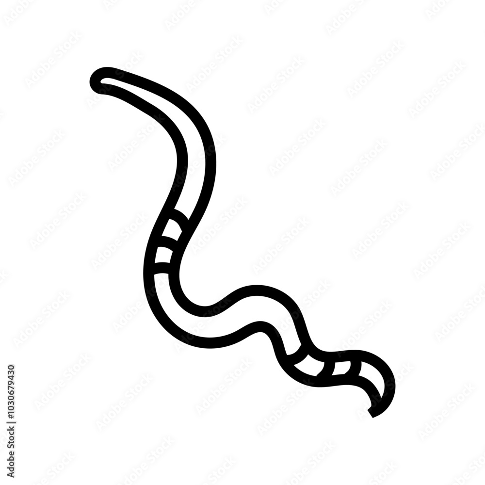 parasite worm line icon vector. parasite worm sign. isolated contour symbol black illustration parasite worm line icon vector. parasite worm sign. isolated contour symbol black illustration