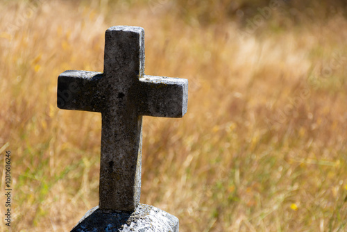 A close up image of a very old stone cross in an over grown and unkept cemetery.  photo