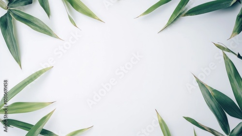 bamboo leaves frame with empty white space at the center of the frame