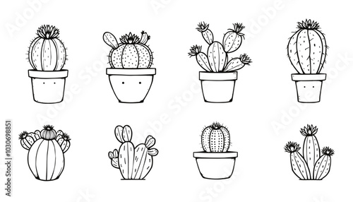 Hand-drawn flowering cactus collection vector illustration