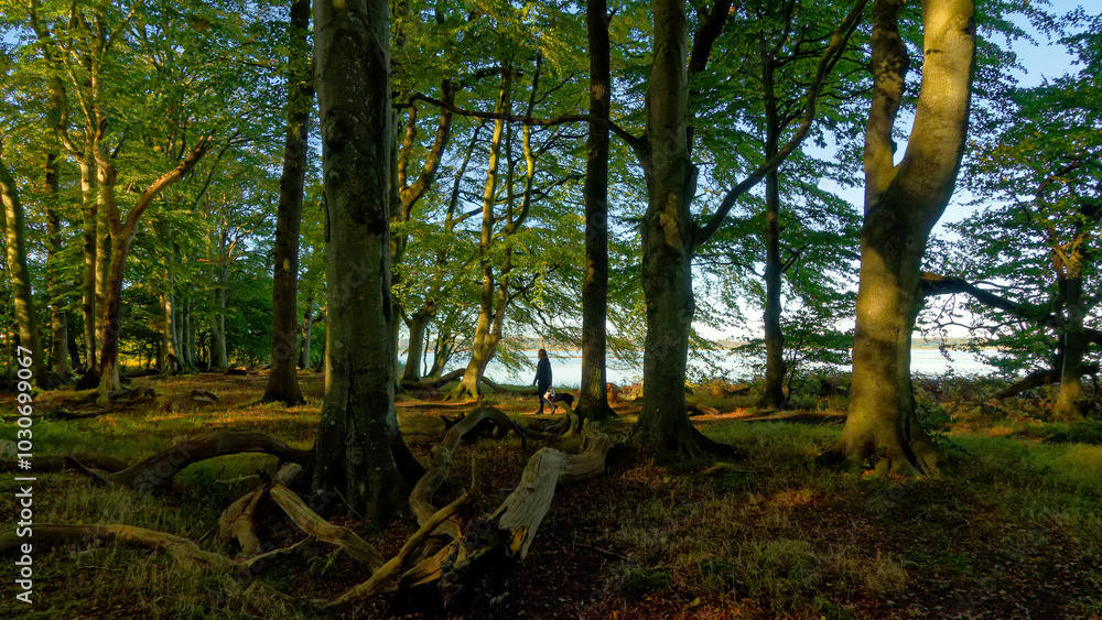 Obraz premium Schlei im Herbst