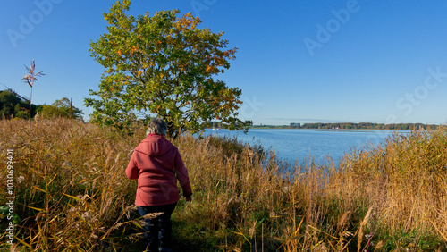 Foto Schlei im Herbst