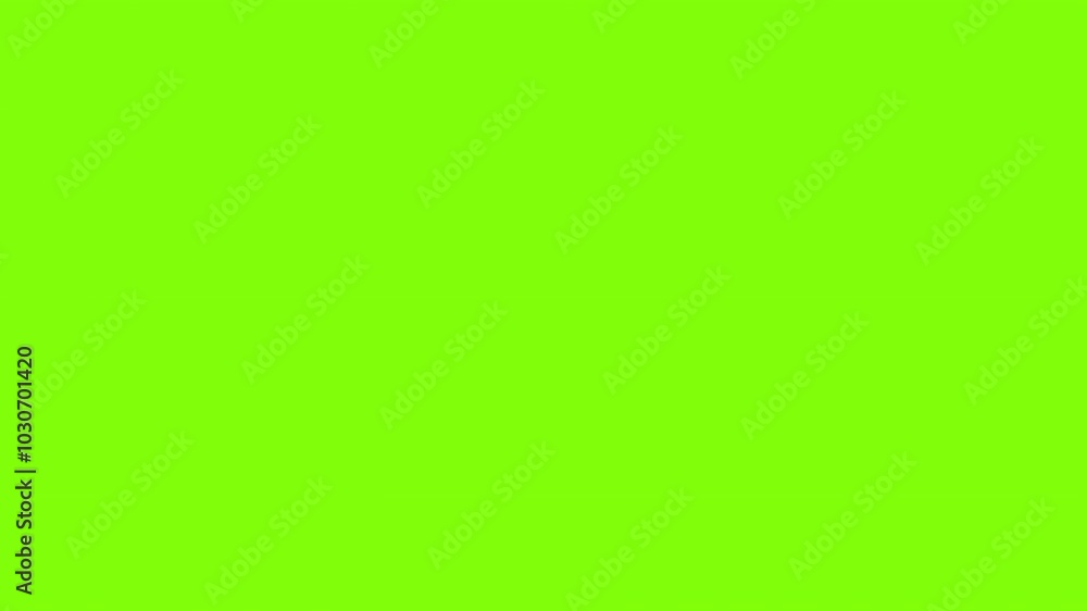 4K Eye-Catching Minimalist Sliding Subscribe Button and Notification Bell for Video. Call to Action Motion Design Animation on Solid Green Screen 4K Eye-Catching Minimalist Sliding Subscribe Button and Notification Bell for Video. Call to Action Motion Design Animation on Solid Green Screen