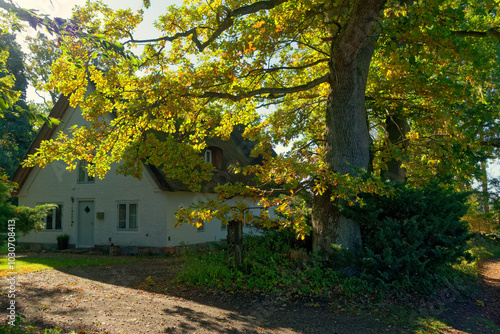 Haus an der Schlei photo